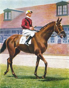 Senor, Jockey: J. Crouch, 1939