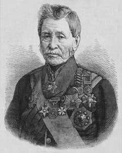 Sir John Burgoyne, um 1880