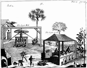 Sklavenarbeit auf einer Zuckerplantage in Westindien, 1725 von Unbekannt