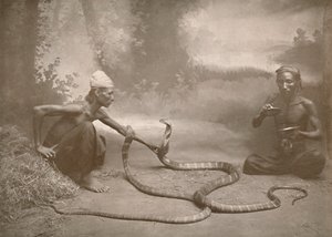 Schlangenbeschwörer mit Hamadryaden Kuy Kobras, 1900 von Unbekannt