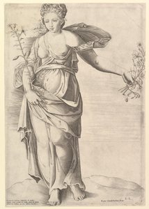 Speculum Romanae Magnificentiae: Flora, Mitte des 16. Jahrhunderts