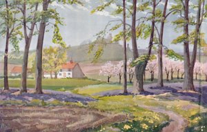 Frühling - Die physikalischen, chemischen und biologischen Veränderungen durch die Sonne im Laufe des Jahres, 1935 von Unbekannt