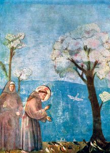 Der heilige Franziskus predigt den Vögeln, 1297-1299, ca. 1900-1920 von Unbekannt