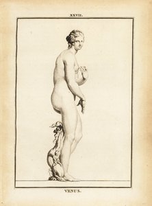 Statue der Venus, römische Göttin der Liebe, Schönheit, Sexualität und Fruchtbarkeit