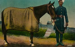 Syce, ca. 1910 von Unbekannt