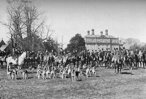 Die Albrighton-Hunde: Ein Treffen in Stretton, ca. 1903, 1903 von Unbekannt