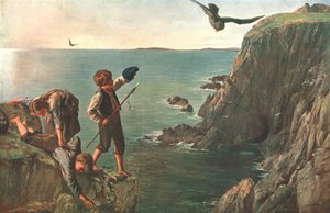 Der Bonxie, Shetland