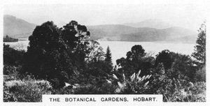 Der Botanische Garten, Hobart, Tasmanien, 1928 von Unbekannt