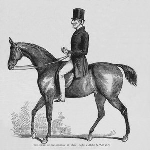 Der Herzog von Wellington, um 1842