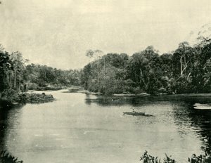 Das Ennoggera-Reservoir, 1901