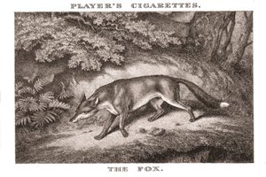 Der Fuchs, 1924