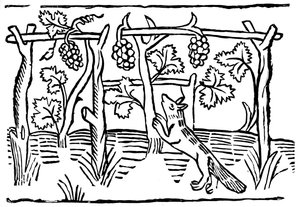 Der Fuchs und die Trauben, 15. Jahrhundert, 1893