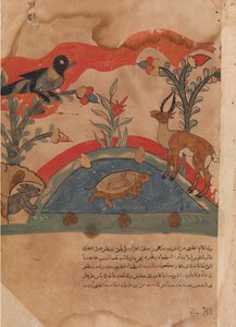 Die Gazelle wird Freunde mit der Krähe, der Maus und der Schildkröte