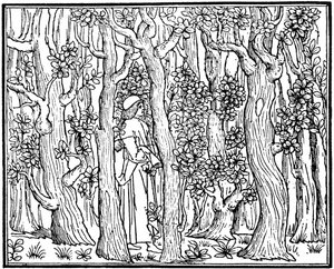 Der Liebhaber im Wald, 1499