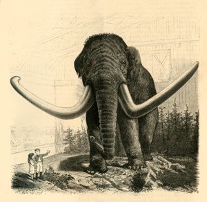 Das Mammut von St. Petersburg, 1883