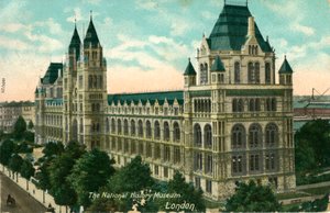 Das Naturhistorische Museum, London, ca. 1910 von Unbekannt