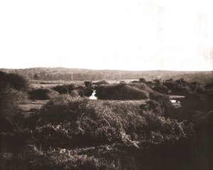 Der New Forest, Hampshire, 1894 von Unbekannt