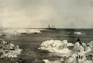 Die Nimrod vor der Pinguinkolonie, um 1908, 1909