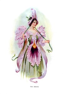Die Orchidee, 1899