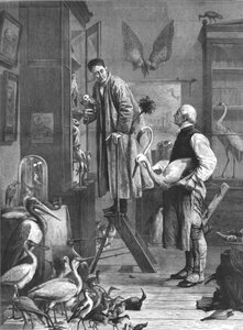 Der Ornithologe von Unbekannt