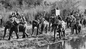 Der Prinz von Wales auf Tigerjagd in Indien, 1921 von Unbekannt
