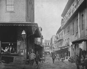 Der Proviantmarkt, Chinatown, San Francisco, 19. Jahrhundert von Unbekannt