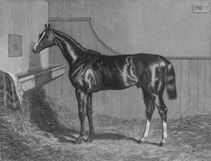Der Rt. Hon. Der Earl of Lichfields Elis. Gewinner des St. Leger 1836, 1911 von Unbekannt