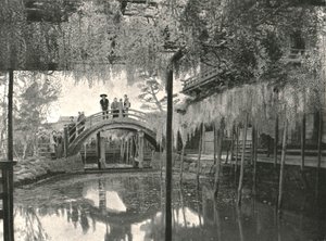 Der Shinji-No-Ike-Teich und Glyzinien, Kameido, Tokio, Japan von Unbekannt