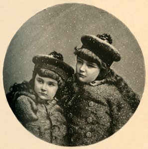 Der Weihnachtsbaum der Schneevögel, 1883 von Unbekannt