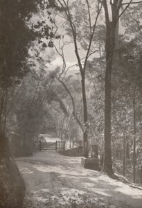 Der Geist von Tijuca, 1914 von Unbekannt