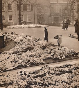 Das Staatsbegräbnis von König George V. in Windsor: Gedenkkränze, 1936