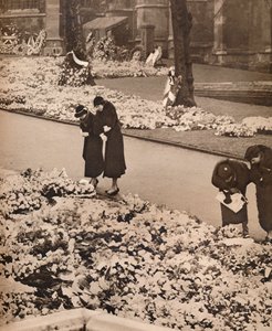 Das Staatsbegräbnis von König Georg V. in Windsor: Gedenkkränze, 1936 von Unbekannt