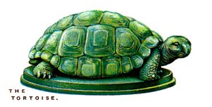 Die Schildkröte, 1923