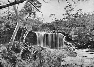 Der Weeping Rock bei Wentworth Falls, Blue Mountains, ca. 1900