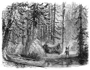 Der Wald vor dem Auswanderer, 1900