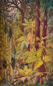 Die gigantische Vegetation des Karbonzeitalters, 1907