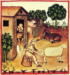 Die Käseherstellung. Eine Miniatur aus Tacuinum Sanitatis, zweite Hälfte des 14. Jahrhunderts von Unbekannt
