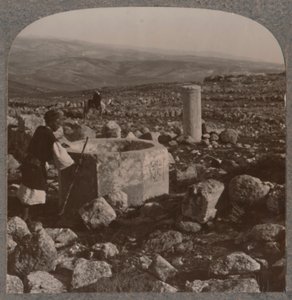 Die Ruinen von Tekoa, ca. 1900 von Unbekannt