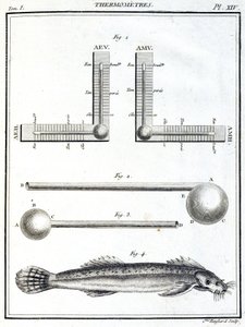 Thermometer