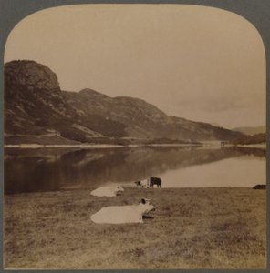 Thirlmere, ein See-Reservoir, die Wasserversorgung von Manchester, 96 Meilen entfernt, Lake District, England von Unbekannt