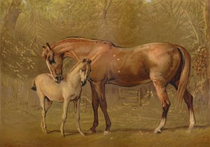 Vollblutstute und Fohlen, ca. 1879