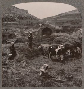 Getreide dreschen in der Nähe von Jacobs Brunnen, um 1900 von Unbekannt