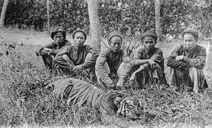 Tigerjäger, Tonkin, Vietnam, 20. Jahrhundert