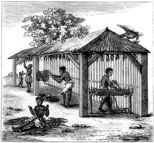 Tabakvorbereitung, 1873