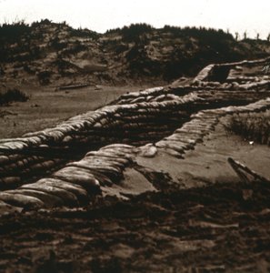 Schützengräben im Schutz der Dünen, Nieuwpoort, Flandern, Belgien, ca. 1914-1918