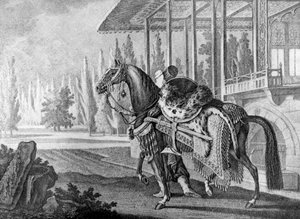 Arabisches Pferd des türkischen Paschas, 1722