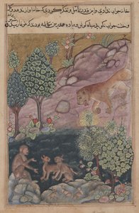Tuti-Nama Geschichten eines Papageis: Geschichte XXIX, Der Löwe kehrt in sein Territorium zurück und sieht, ca. 1560 von Unbekannt