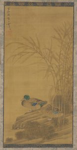 Zwei Enten zwischen Schilf am Wasser, Ming- oder Qing-Dynastie, 15.-18. Jahrhundert