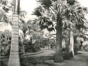 Typischer hawaiianischer Hof, Honolulu, USA, 1895
