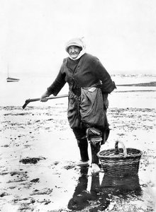 Vereinigtes Königreich: Eine alte Dame sammelt Herzmuscheln am Meeresufer. ca. 1890 von Unbekannt